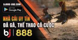 hướng dẫn sử dụng bj888 da ga
