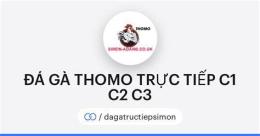 hướng dẫn sử dụng c3 đá gà thomo