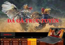 hướng dẫn sử dụng cách bắt kèo đá gà