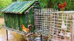hướng dẫn sử dụng cách làm chuồng đổ gà đá
