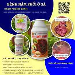 hướng dẫn sử dụng cách trị bệnh phổi cho gà đá
