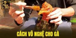 hướng dẫn sử dụng cach vo nghe ga da