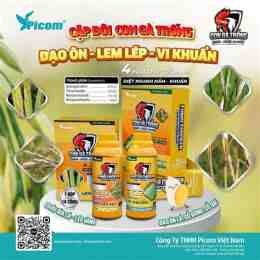 hướng dẫn sử dụng cặp gà sinh đôi đá c3 hôm nay