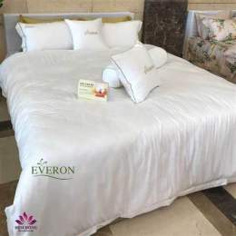 hướng dẫn sử dụng chăn ga gối đệm everon tại đà nẵng