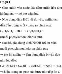 hướng dẫn sử dụng chó ăn đá gà ăn sỏi là thành ngữ