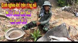 hướng dẫn sử dụng chó ăn đá gà ăn sỏi nghĩa đen