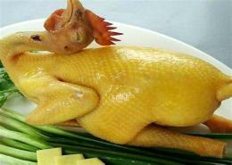 hướng dẫn sử dụng chỗ bán da gà