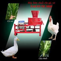 hướng dẫn sử dụng cho gà đã an chuối