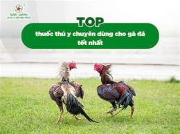 hướng dẫn sử dụng cho tot ga da hcm