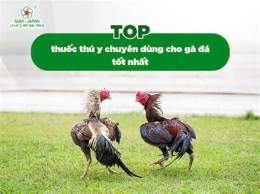 hướng dẫn sử dụng cho tot ga da long an