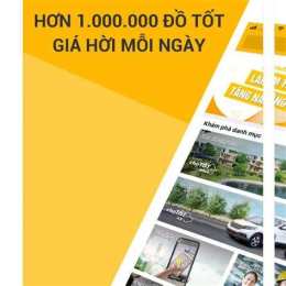 hướng dẫn sử dụng chợ tốt toàn quốc bán gà đá