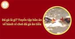 hướng dẫn sử dụng chơi đá gà ăn tiền