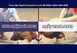 hướng dẫn sử dụng clip đá gà cpc3