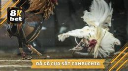 hướng dẫn sử dụng clip da ga cua sat moi nhat 2016