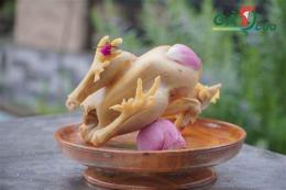 hướng dẫn sử dụng clip gà 9 cựa đá