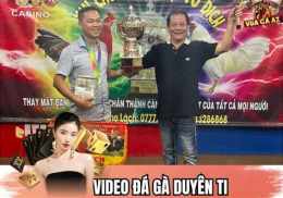 hướng dẫn sử dụng clip gà duyên ti đá thomo