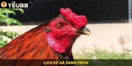 hướng dẫn sử dụng clip gà xanh trích đá