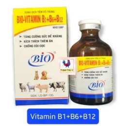 hướng dẫn sử dụng công dụng b12 cho gà đá
