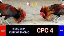 hướng dẫn sử dụng cpc4 đá gà trực tiếp