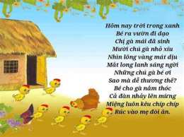 hướng dẫn sử dụng đã dựng xong ngôi nhà nhỏ cho những chú gà con