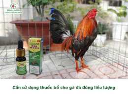 hướng dẫn sử dụng đá gà 26 7