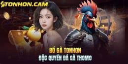 hướng dẫn sử dụng đá gà 67 tonhon