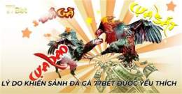 hướng dẫn sử dụng đá gà 77bet