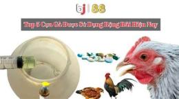 hướng dẫn sử dụng đá gà 88 cpc2
