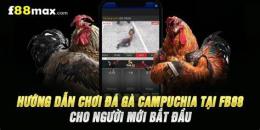 hướng dẫn sử dụng đá gà 888 campuchia