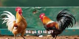 hướng dẫn sử dụng da ga c1 10 4