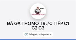 hướng dẫn sử dụng đá gà c1 c2 c3 c4 trực tiếp