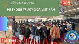 hướng dẫn sử dụng đá gà c1 dakpuer 888