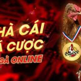 kenh da ga truc tiep
