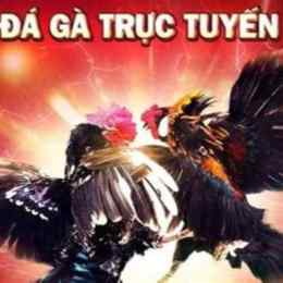 kinh nghiem da ga truc tuyen