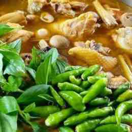 lẩu gà đá tư gà nòi