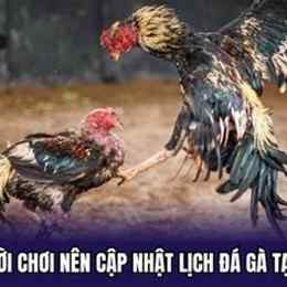 lich da ga theo ngay
