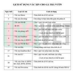 lịch vacxin cho gà đá
