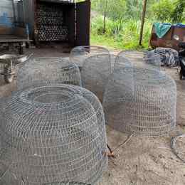 lồng gà đá