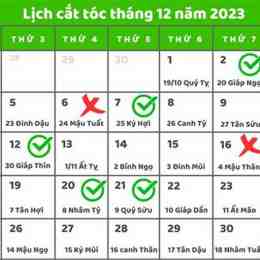 màu mạng xem ngày tốt để đi đá gà