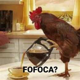 meme da gà