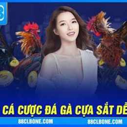 mẹo chơi đá gà online