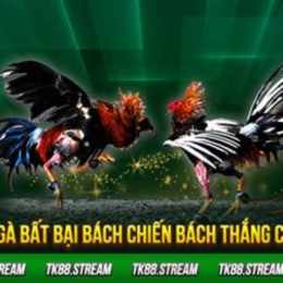 mẹo đá gà mạng