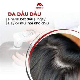nấm da đầu gàu nhiều