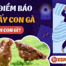 nằm mơ thấy đá gà đánh số mấy