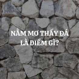 nằm mơ thấy đá gà
