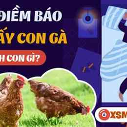 nằm mơ thấy đi đá gà đánh số mấy