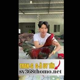 nam radio đá gà c4