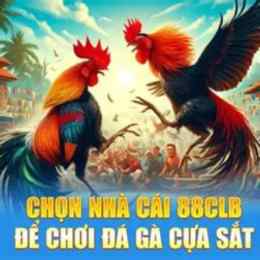 nha cai da ga cua sat