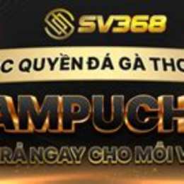 nhà cái đá gà thomo