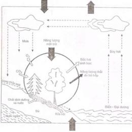 nhà nước ma-ga-đa được hình thành như thế nào